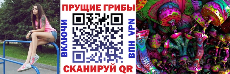 купить цена Питкяранта Псилоцибиновые грибы Psilocybe